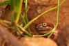 IMG_4408.jpg