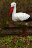 IMG_4577-1.jpg