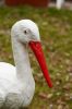 IMG_4660-1.jpg