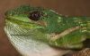 IMG_4697-1.jpg