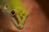 IMG_4721-1.jpg