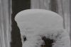 IMG_5076-1.jpg