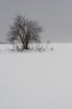 IMG_5116-1.jpg