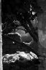 IMG_2098_BW.jpg