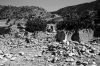 IMG_2100_BW.jpg