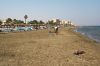 IMG_2153.jpg
