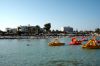 IMG_2384.jpg
