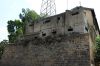 IMG_2441.jpg