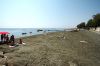 IMG_2469.jpg