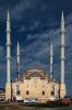 IMG_5187.jpg