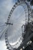 IMG_3489.jpg