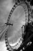IMG_3489_BW.jpg