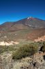 IMG_6282.jpg