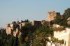 IMG_7546.jpg