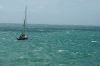 IMG_8334.jpg