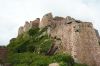 IMG_8366.jpg