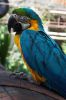 IMG_8984.jpg