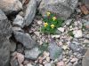 DSCF0107.JPG