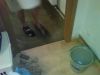 DSC00407.JPG